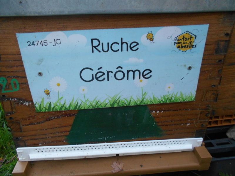 La ruche Gérôme