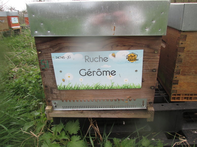 La ruche Gérôme