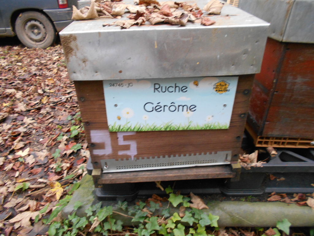 La ruche Gérôme