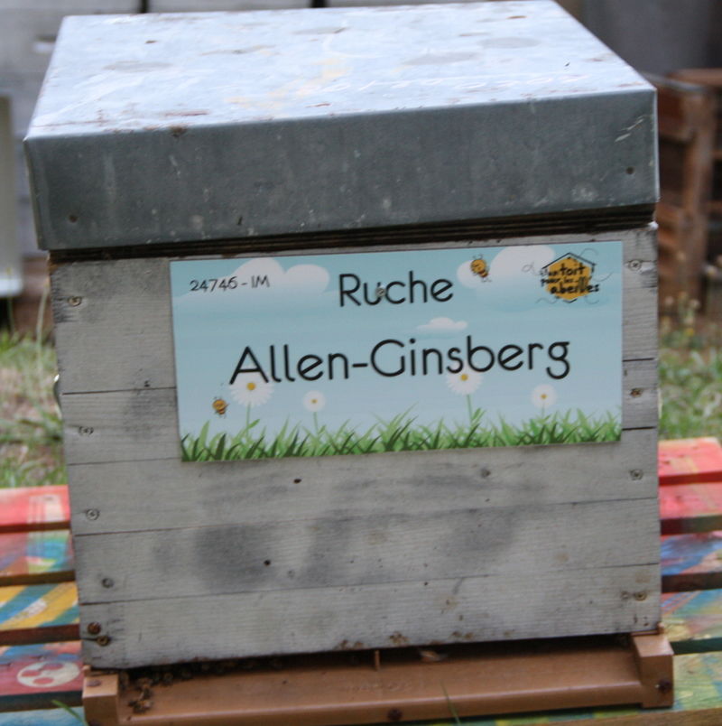 La ruche Allen-Ginsberg