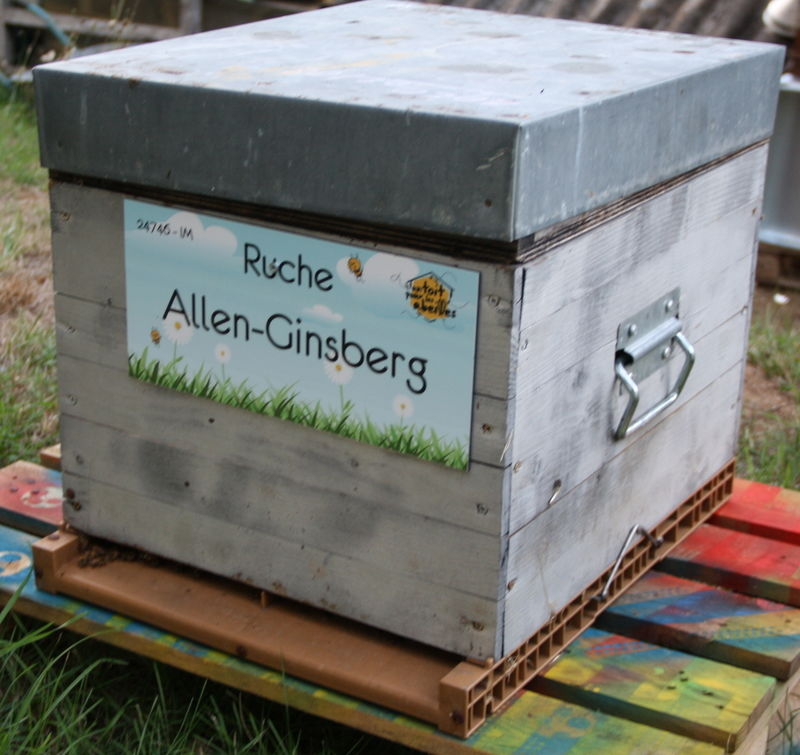 La ruche Allen-Ginsberg