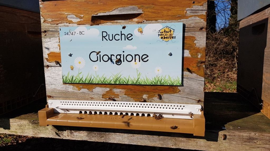 La ruche Giorgione