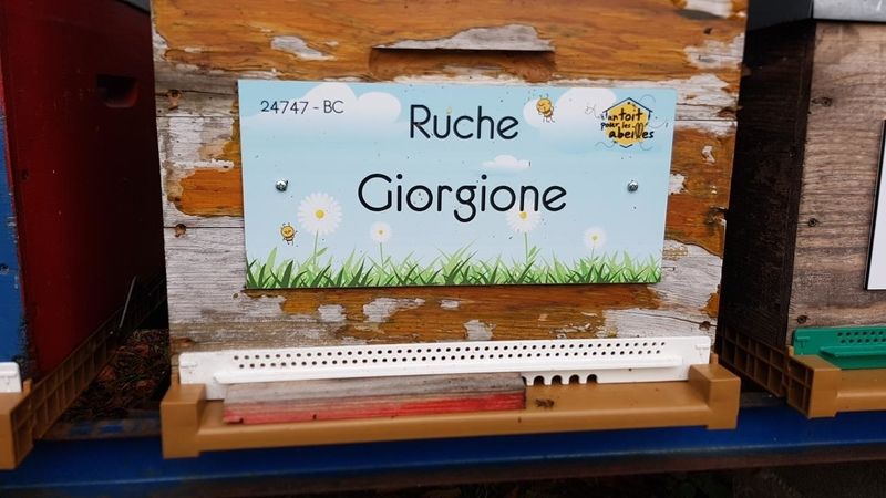 La ruche Giorgione