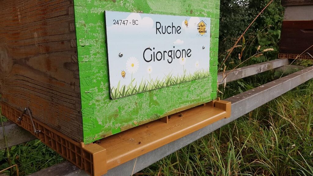 La ruche Giorgione