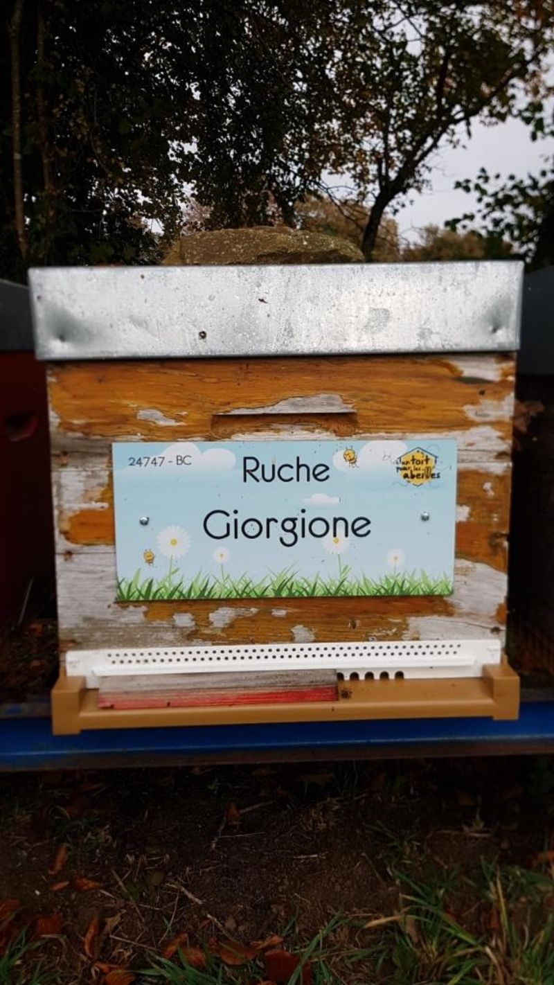 La ruche Giorgione