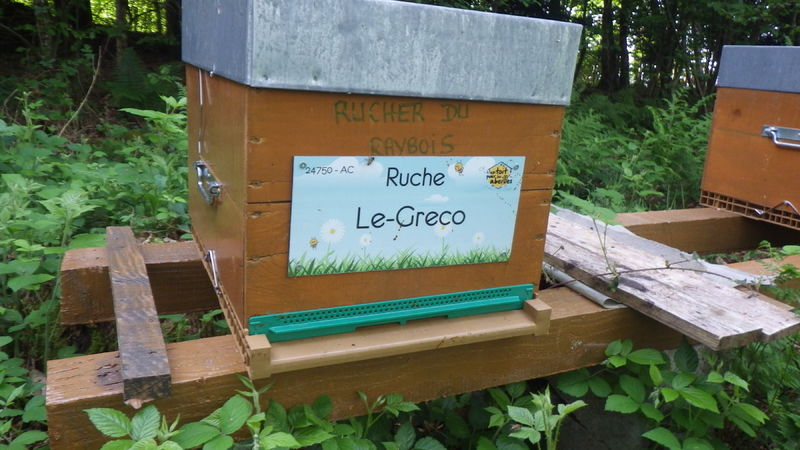 La ruche Le-Greco