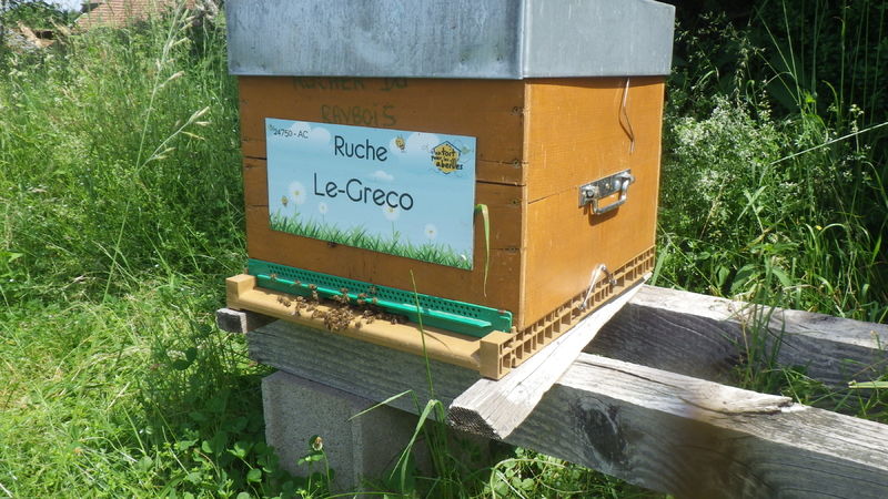 La ruche Le-Greco