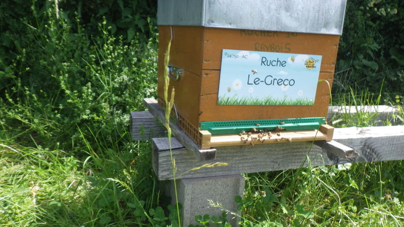 La ruche Le-Greco
