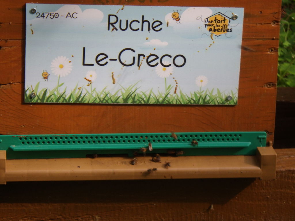 La ruche Le-Greco