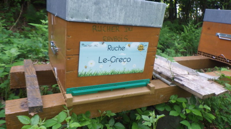 La ruche Le-Greco