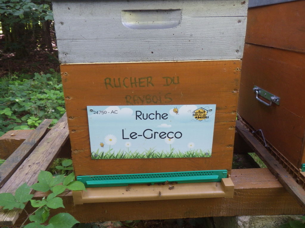 La ruche Le-Greco