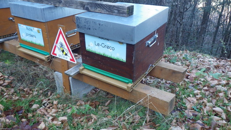 La ruche Le-Greco