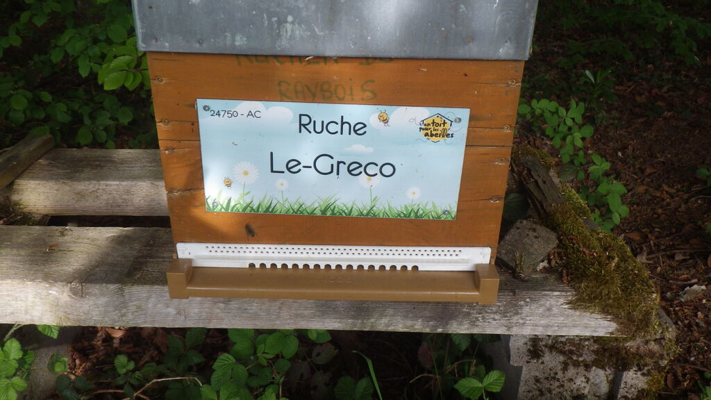 La ruche Le-Greco