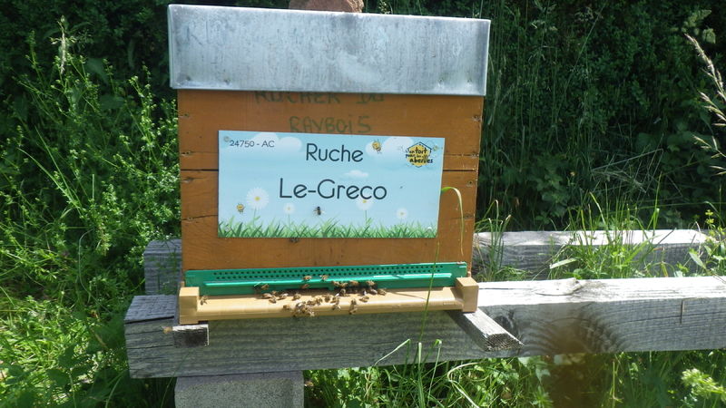 La ruche Le-Greco