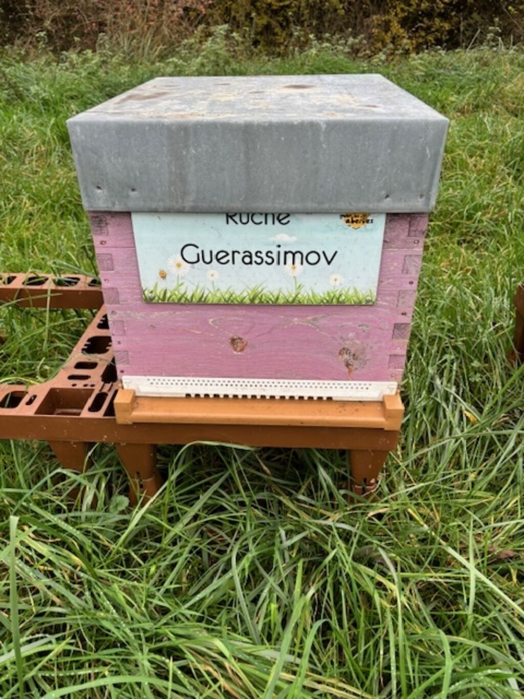 La ruche Guerassimov