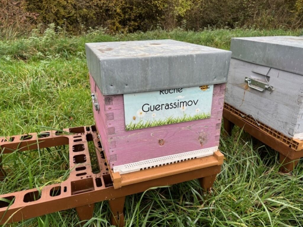 La ruche Guerassimov