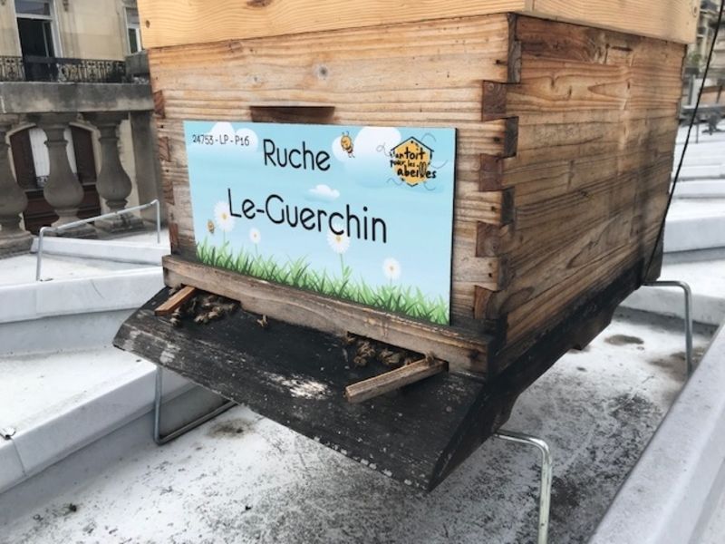La ruche