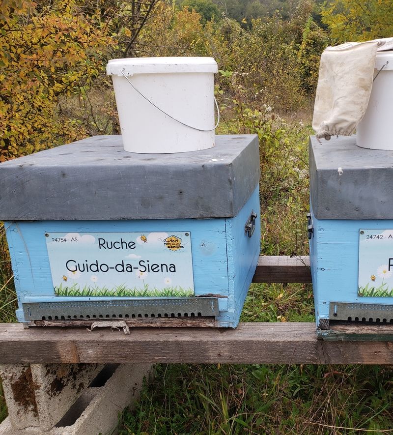 La ruche Guido-da-Siena