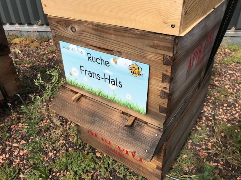 La ruche