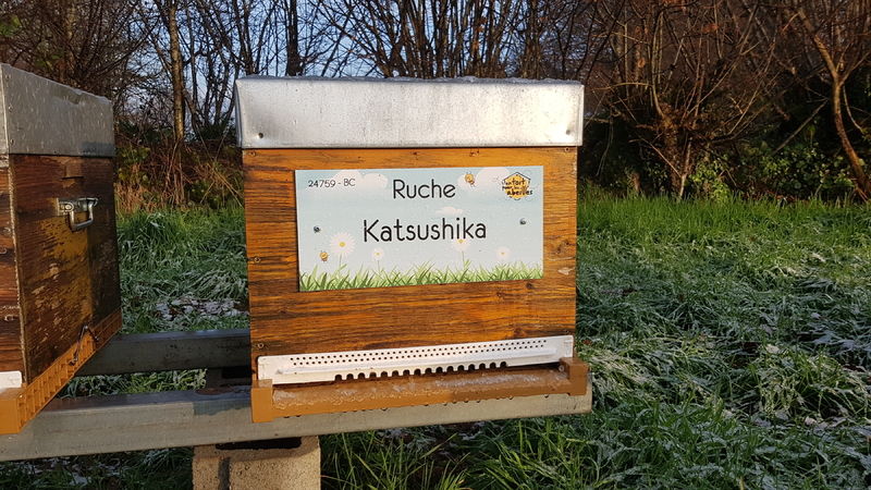 La ruche Katsushika