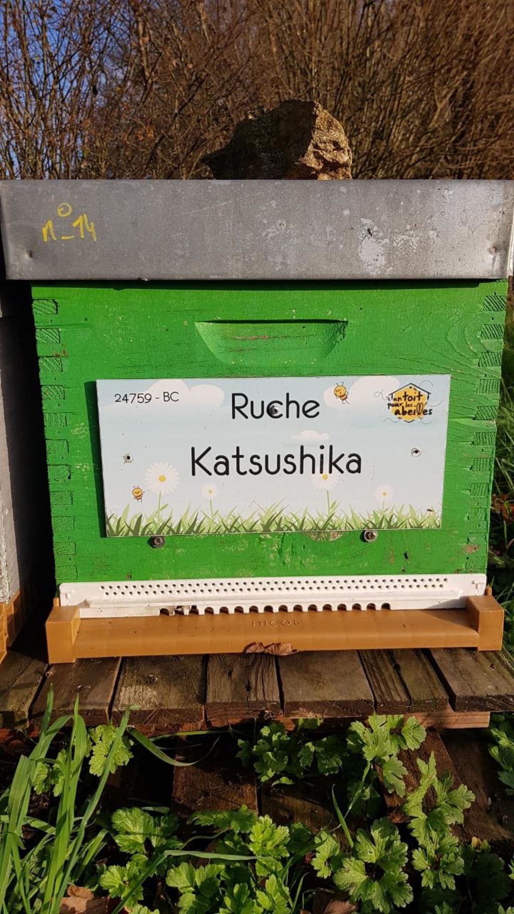 La ruche Katsushika