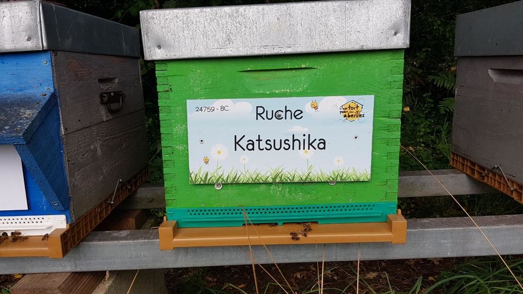 La ruche Katsushika