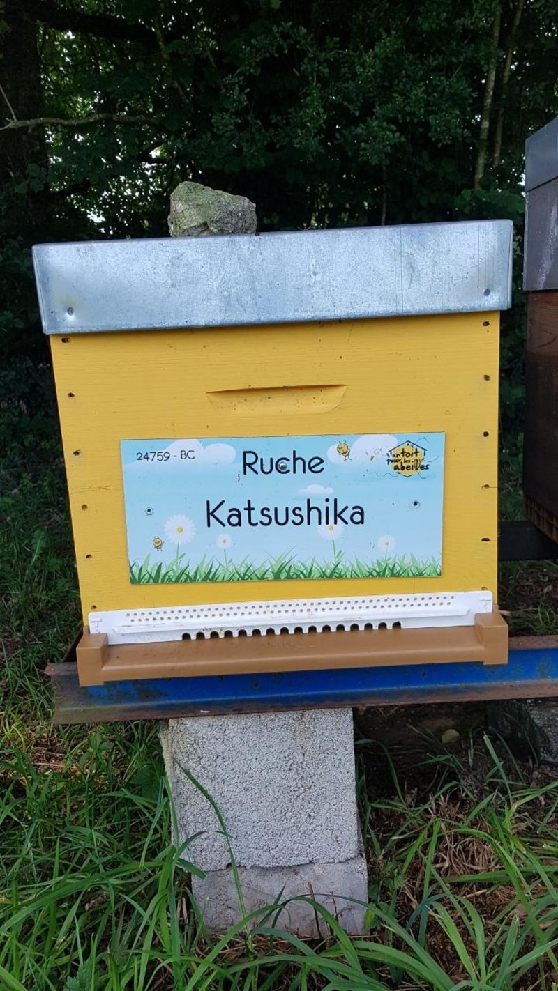 La ruche Katsushika