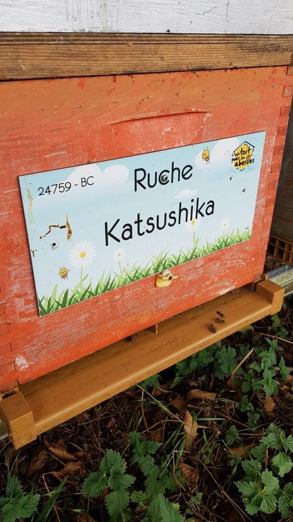 La ruche Katsushika