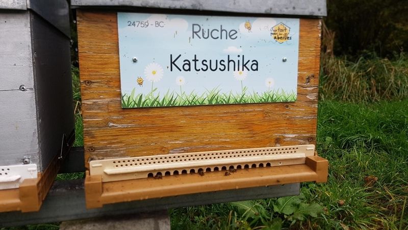 La ruche Katsushika
