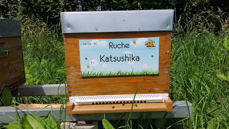 La ruche Katsushika