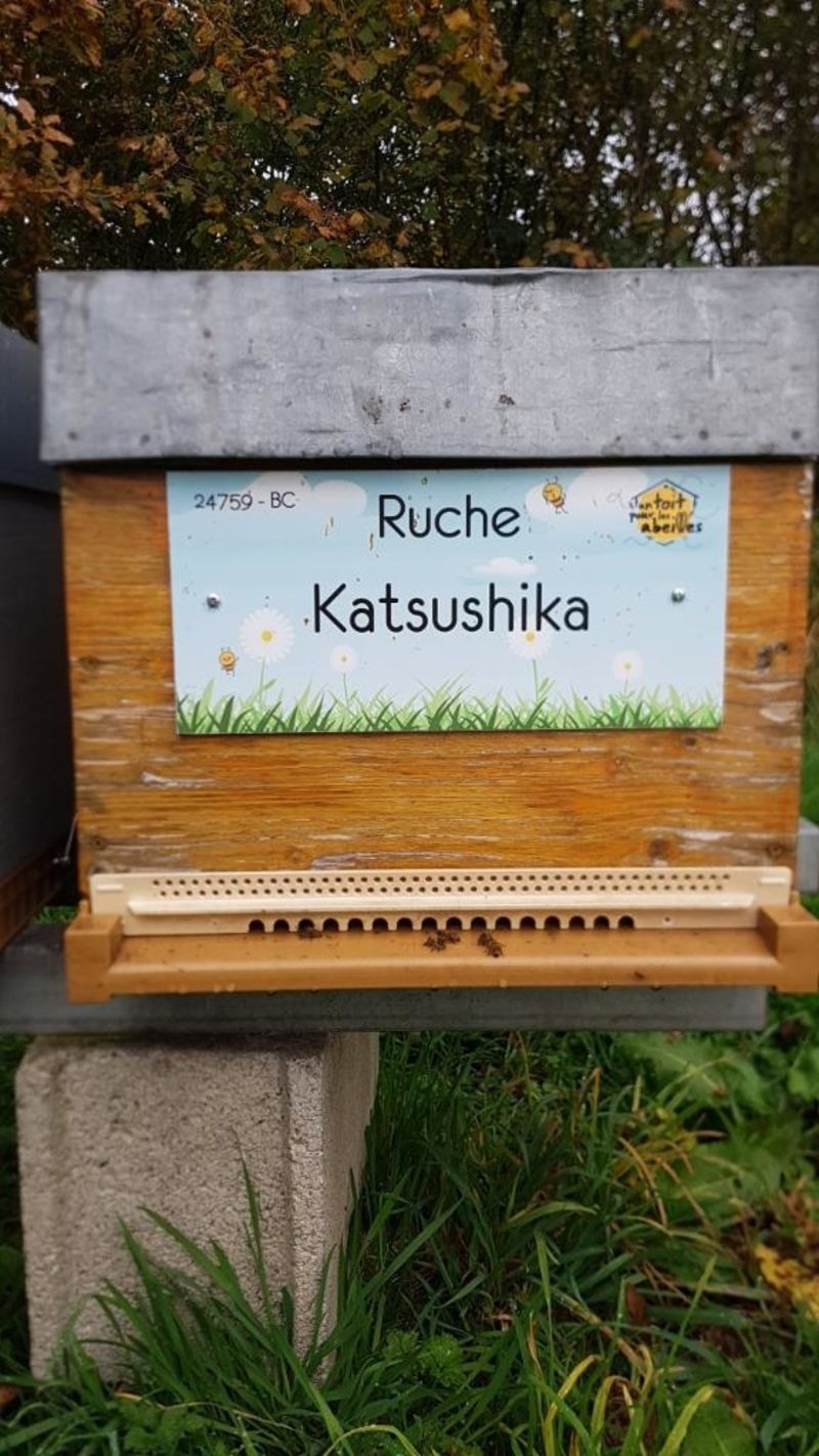 La ruche Katsushika