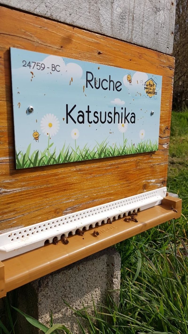 La ruche Katsushika