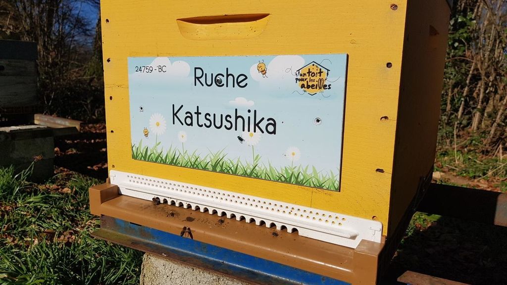 La ruche Katsushika