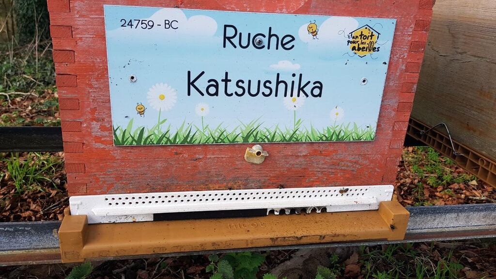 La ruche Katsushika