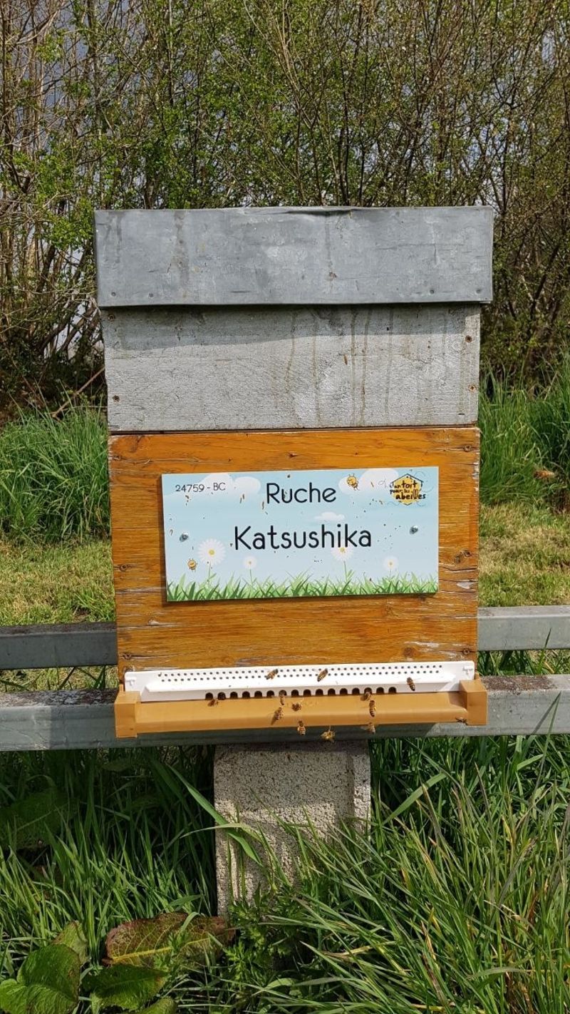 La ruche Katsushika