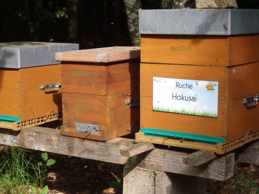 La ruche Hokusai