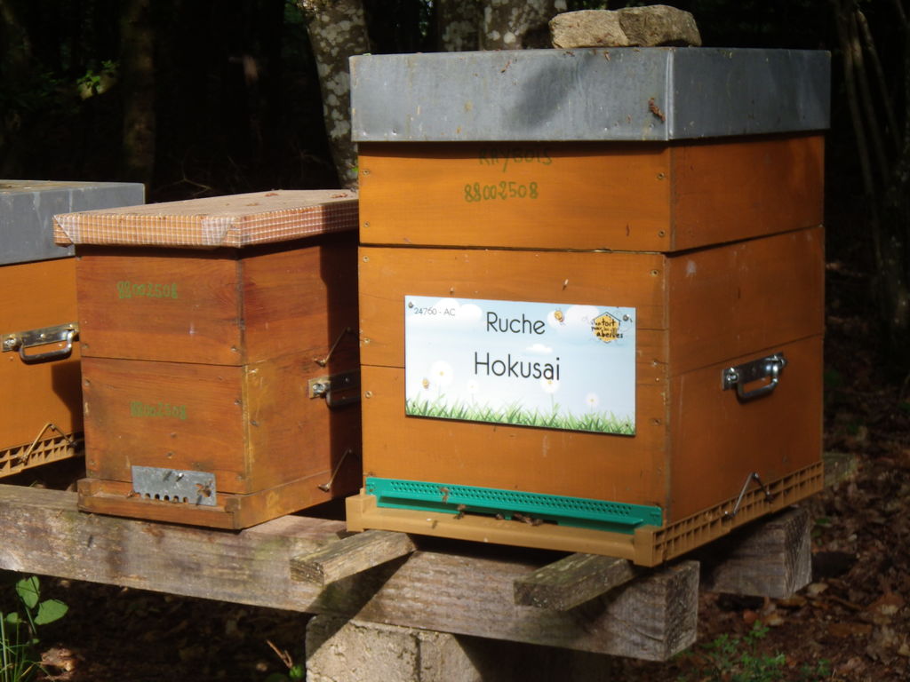 La ruche Hokusai