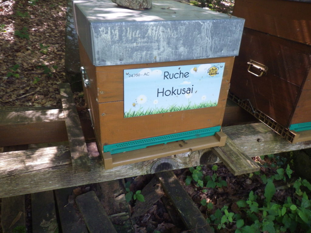 La ruche Hokusai