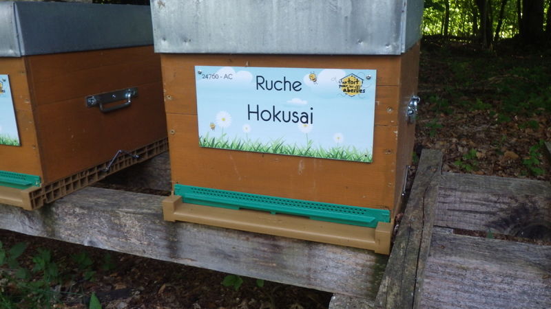 La ruche Hokusai