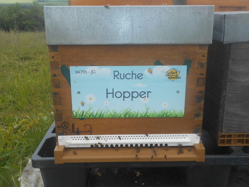 La ruche Hopper