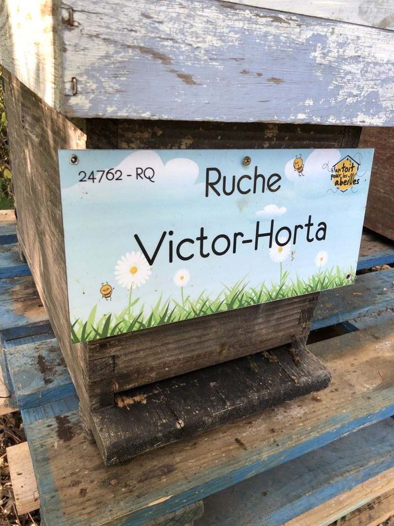 La ruche Victor-Horta
