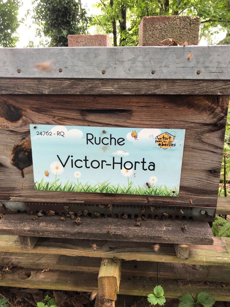 La ruche Victor-Horta