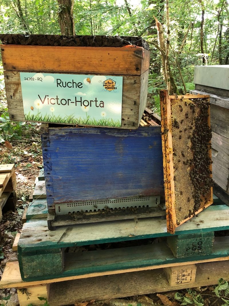 La ruche Victor-Horta