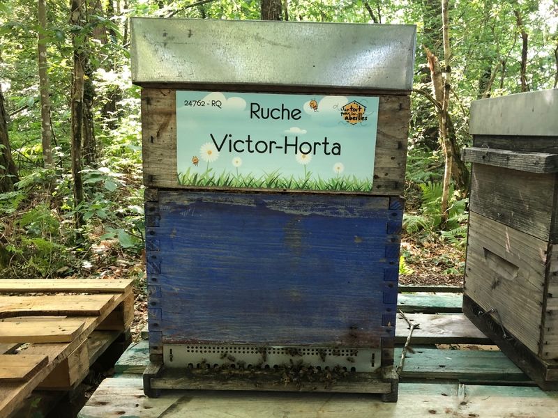 La ruche