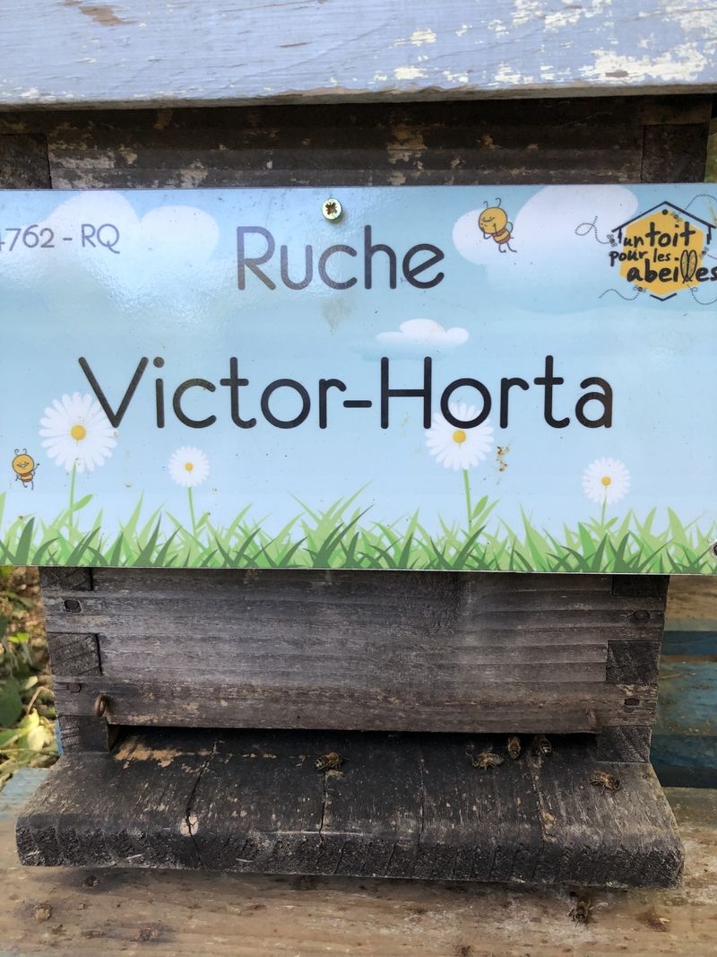 La ruche Victor-Horta