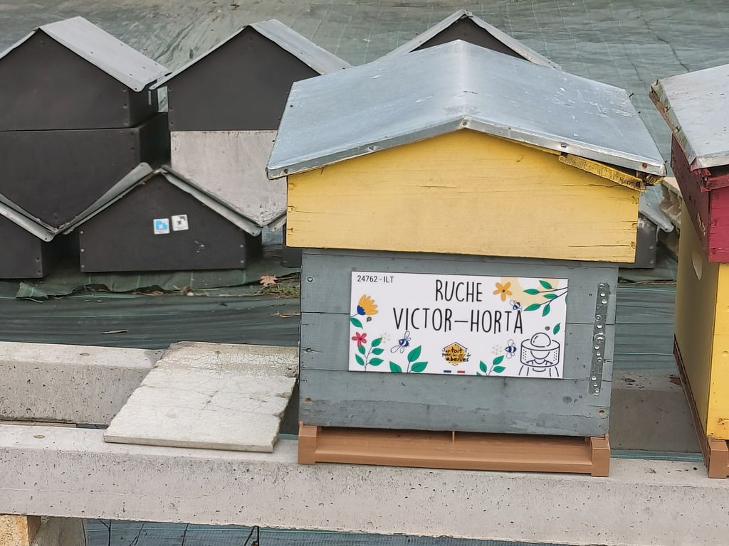 La ruche Victor-Horta