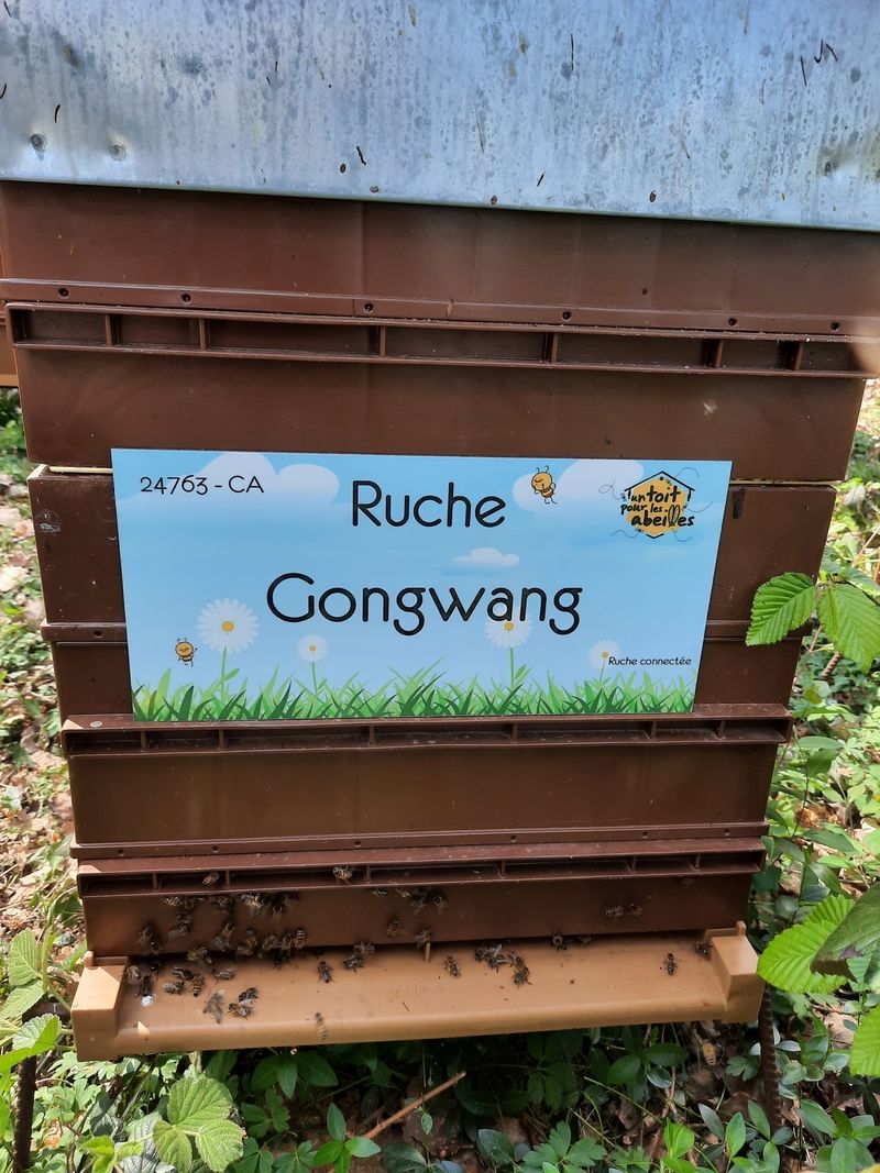 La ruche Gongwang