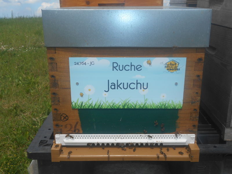 La ruche