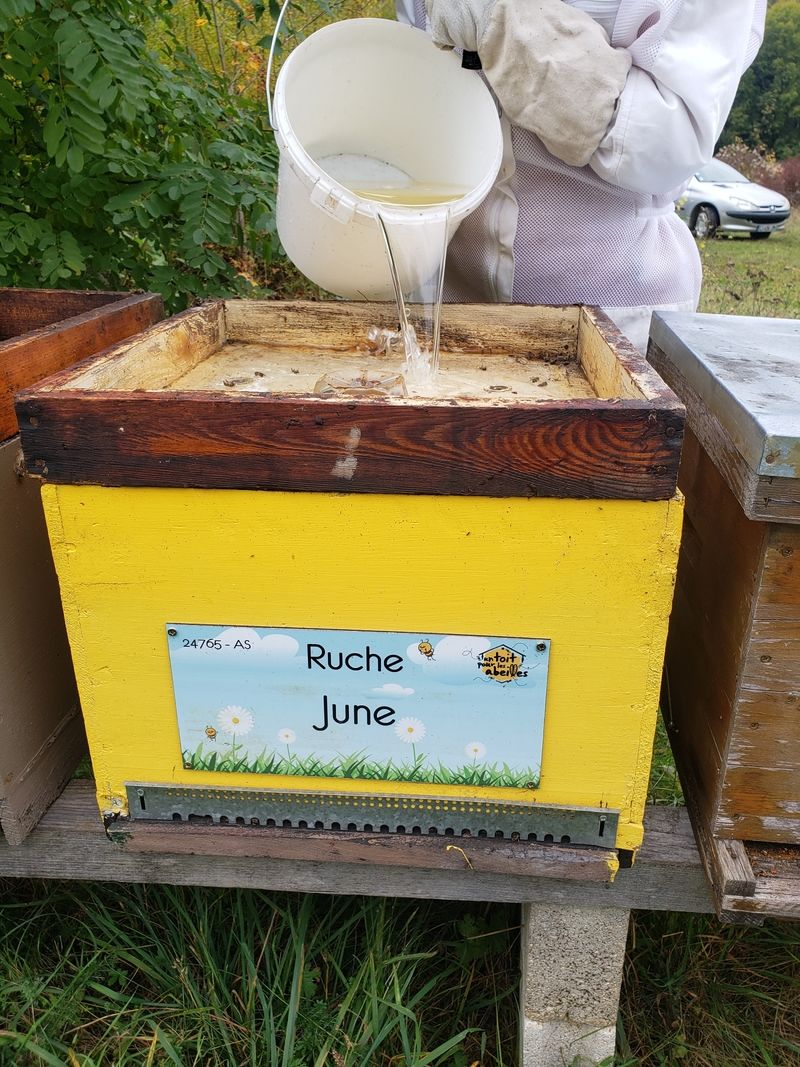 La ruche June
