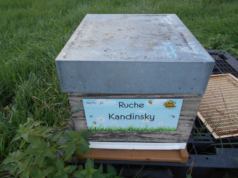 La ruche Kandinsky